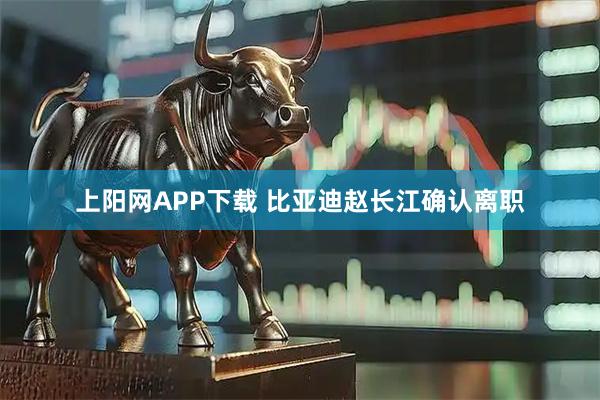 上阳网APP下载 比亚迪赵长江确认离职