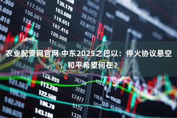 农业配资网官网 中东2025之巴以：停火协议悬空，和平希望何在？