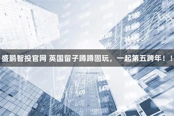 盛鹏智投官网 英国留子蹲蹲固玩，一起第五跨年！！