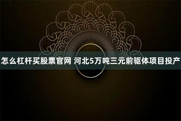 怎么杠杆买股票官网 河北5万吨三元前驱体项目投产